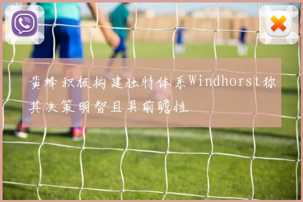 黄蜂积极构建独特体系Windhorst称其决策明智且具前瞻性