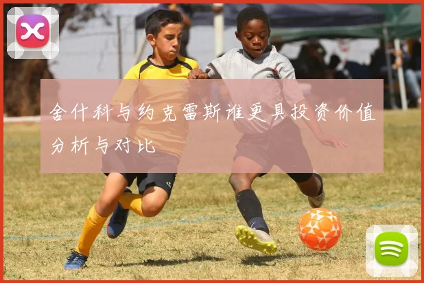 舍什科与约克雷斯谁更具投资价值分析与对比